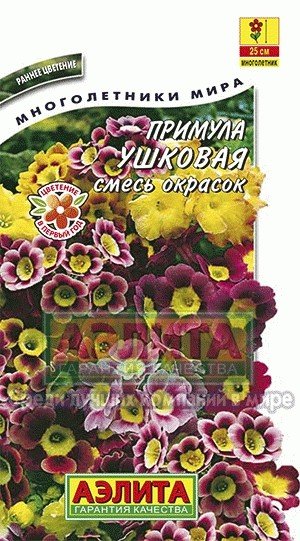 Семена. Примула «Ушковая», смесь окрасок, 0,02 г