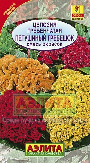 Семена. Целозия гребенчатая «Петушиный гребешок», 0,2 г