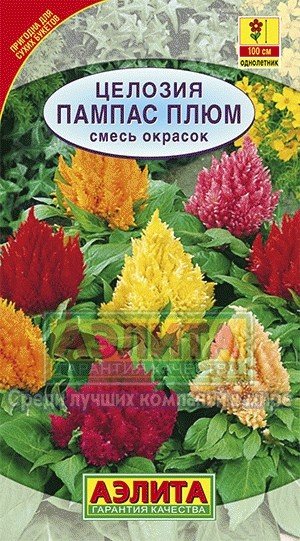 Семена. Целозия «Пампас плюм», 0,3 г