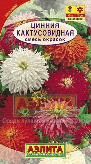 Семена. Цинния «Кактусовидная», смесь, 0,3 г