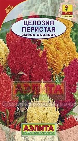 Семена. Целозия «Перистая», смесь окрасок, 0,3 г