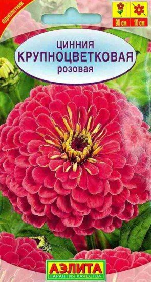Семена. Цинния «Крупноцветковая», розовая, 0,3 г
