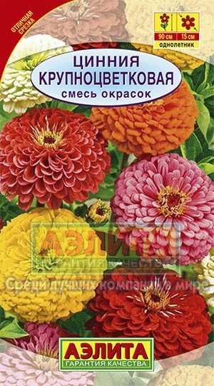 Семена. Цинния «Крупноцветковая», смесь, 0,5 г