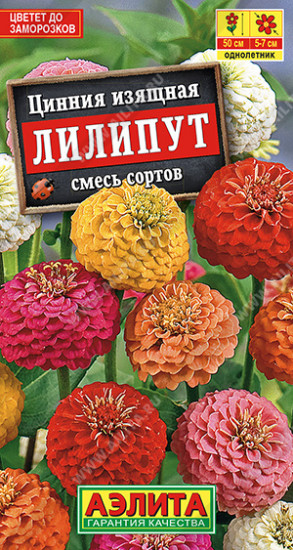 Семена. Цинния «Лилипут», 0,5 г