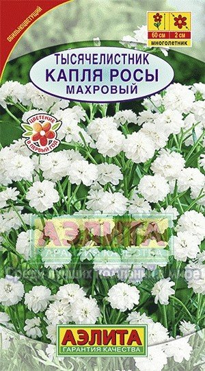 Семена. Тысячелистник «Капля росы», 0,1 г
