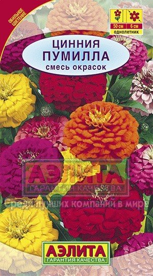 Семена. Цинния «Пумилла», смесь окрасок, 0,3 г