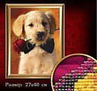 Алмазная вышивка «Щенок с розой»