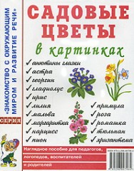 Садовые цветы в картинках