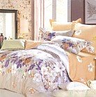 Комплект постельного белья (семейный, сатин, 2 наволочки 70х70, 2 наволочки 50х70)