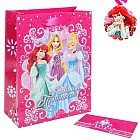 Пакет ламинат вертикальный «Милой Принцессе», 31 х40 см, + мини-открытка, бумажная корона