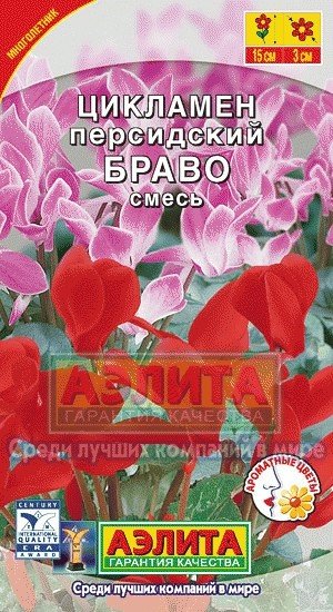 Семена. Цикламен персидский «Браво», смесь окрасок
