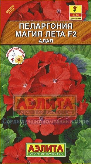 Семена. Пеларгония «Магия лета F2», алая