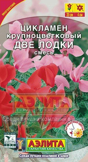 Семена. Цикламен персидский «Две лодки», смесь окрасок