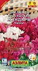 Семена. Цикламен «Жандарм персидский», смесь