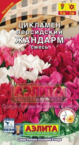 Семена. Цикламен «Жандарм персидский», смесь
