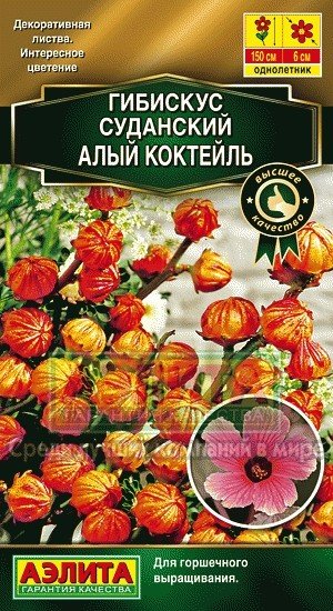 Семена. Гибискус суданский «Алый коктейль»