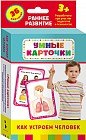 Развивающие карточки. Как устроен человек