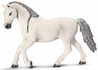 Кобыла Липицианская