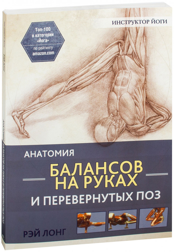 Анатомия балансов на руках и перевернутых поз | Инструктор йоги
