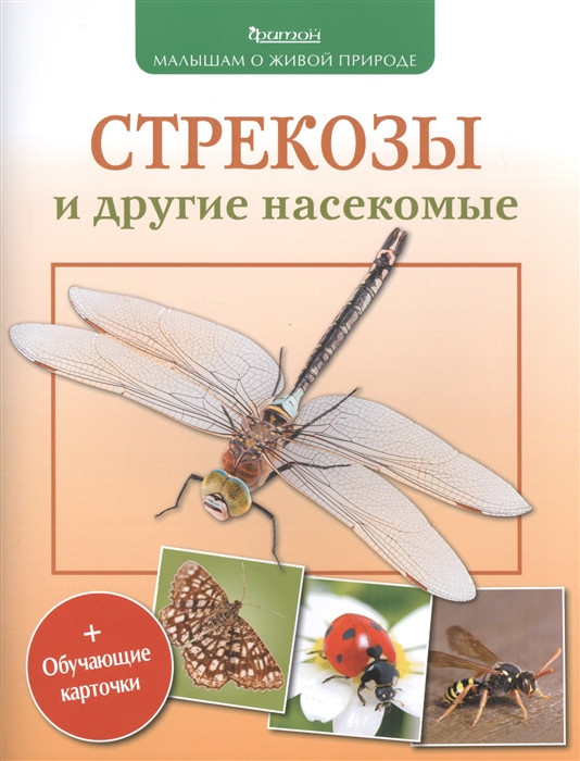 Стрекозы и другие насекомые и обучающие карточки | Малышам о живой природе