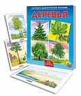 Наглядно-дидактическое пособие «Деревья»