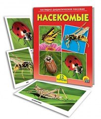 Наглядно-дидактическое пособие «Насекомые»