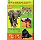 Дидактическое пособие «Животные Африки», формат А4