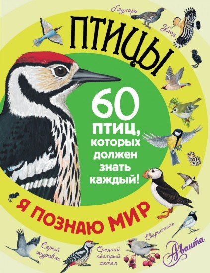 Птицы