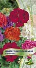 Семена. Пеларгония Зональная «Колорама», 0,05 г