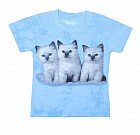 Футболка детская 3D «Kittens»