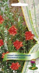 Семена. Гранат обыкновенный «Оранжевый мастер»