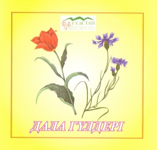 Жібек трусикидегі есектің суреті