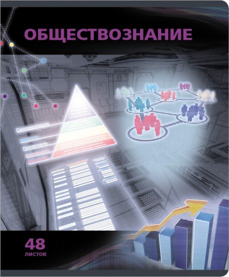 Тетрадь предметная VIDEOTERMINAL «Обществознание», 48 листов