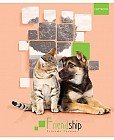 Тетрадь «Домашние питомцы. Персиковый», 48 листов, клетка