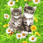 Полотенце вафельное «Котята» (50х60)