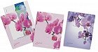 Папка-уголок А4 «Romantique», 4 штуки, цвет в ассортименте
