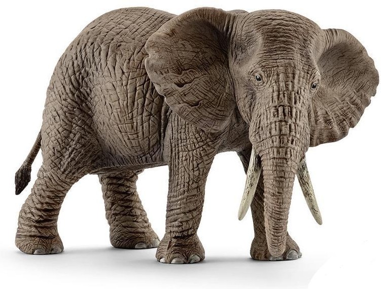 Африканский слон, самка | Животные Африки | Schleich