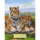 Дневник для младших классов «Дикие кошки»