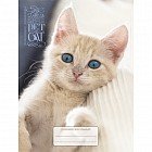 Дневник для средних и старших классов «Домашние любимцы. Дизайн 6 (15)»