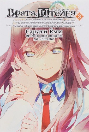 Врата Штейна. Том 3