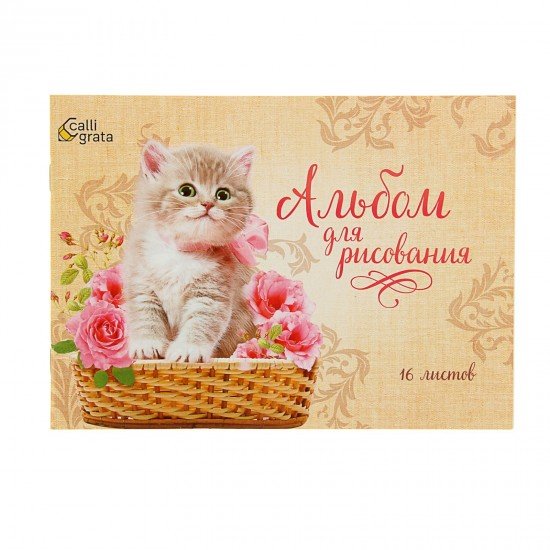 Альбом для рисования «Котёнок в корзине», 16 листов