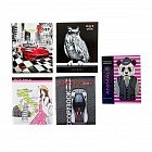 Тетрадь 48 листов, клетка с полями, в ассортименте