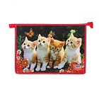 Папка для тетрадей А4 «Рыжие котята»