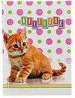 Престиж-блокнот А7 «Рыжий котик», 64 листа