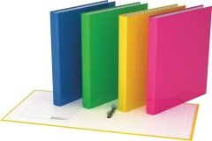 Папка на 2 кольцах ламинированная «Neon», цвет розовый