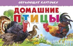 Домашние птицы. Обучающие карточки