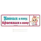 Номер на коляску «Умная в папу, красивая в маму»