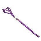 Комплект «Лапки», ширина 1 см, поводок 120 см, шлейка 26-41 см, фиолетовый