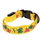 Ошейник с подсветкой «Бабочки», до 58 см, 3 режима свечения, цвет в ассортименте