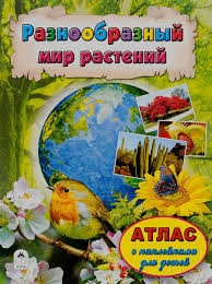 Разнообразный мир растений